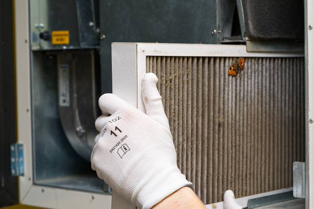 Best Dryer Vent Cleaning Services  in Mount Vernon, GA