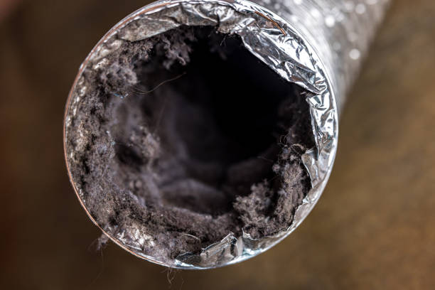 Best Residential Air Duct Cleaning  in Mount Vernon, GA